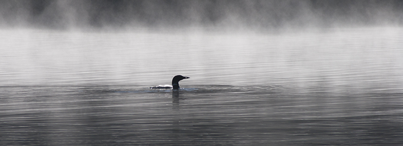 Scenes of the Lakes Region